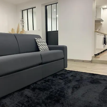 Colmar,appart Chaleureux 2 Pas Centre Avec Jardin