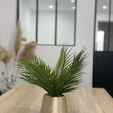 Daire Colmar,appart Chaleureux 2 Pas Centre Avec Jardin *