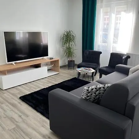 Daire Colmar,appart Chaleureux 2 Pas Centre Avec Jardin *