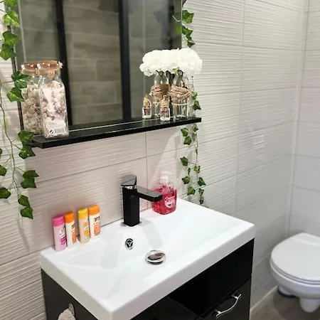 Colmar,appart Chaleureux 2 Pas Centre Avec Jardin Διαμέρισμα