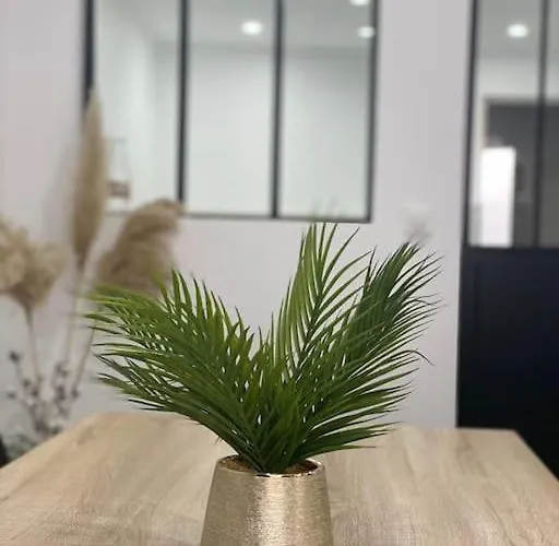 Apartamento Colmar,appart Chaleureux 2 Pas Centre Avec Jardin *