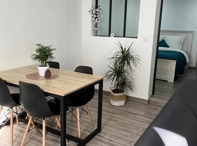 Colmar,appart Chaleureux 2 Pas Centre Avec Jardin Apartamento Colmar