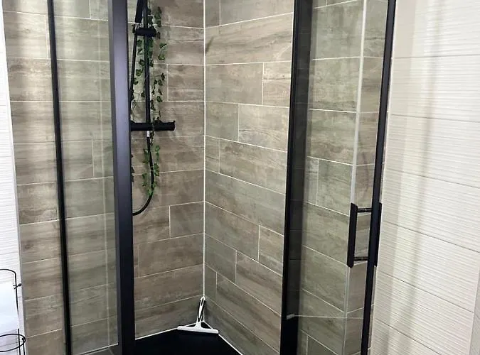 Colmar,appart Chaleureux 2 Pas Centre Avec Jardin *